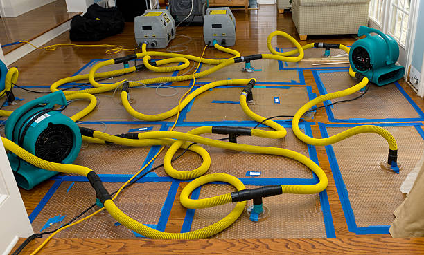 Professional Structural Drying And Dehumidification technician working in Mount Hope, WV
